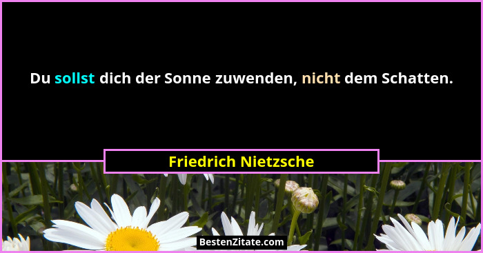 Du sollst dich der Sonne zuwenden, nicht dem Schatten.... - Friedrich Nietzsche