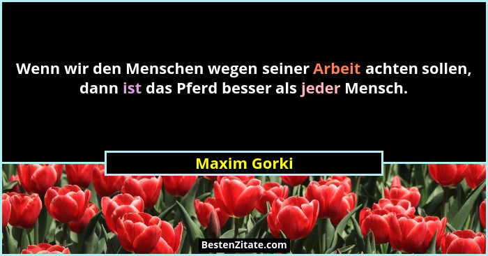 Wenn wir den Menschen wegen seiner Arbeit achten sollen, dann ist das Pferd besser als jeder Mensch.... - Maxim Gorki