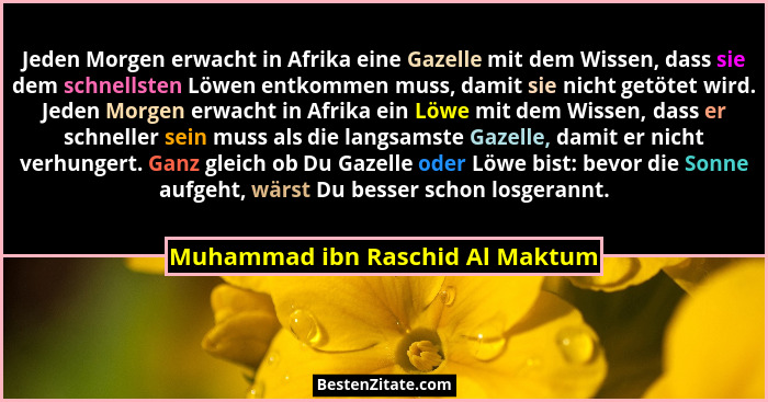 Jeden Morgen erwacht in Afrika eine Gazelle mit dem Wissen, dass sie dem schnellsten Löwen entkommen muss, damit sie... - Muhammad ibn Raschid Al Maktum