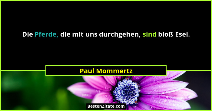 Die Pferde, die mit uns durchgehen, sind bloß Esel.... - Paul Mommertz