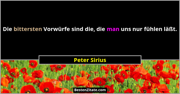 Die bittersten Vorwürfe sind die, die man uns nur fühlen läßt.... - Peter Sirius