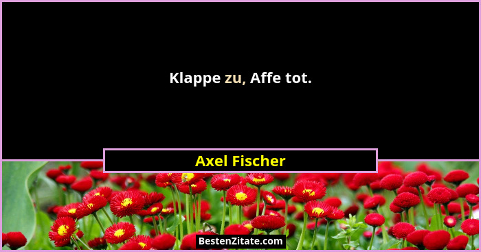Klappe zu, Affe tot.... - Axel Fischer