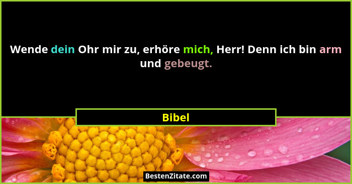Wende dein Ohr mir zu, erhöre mich, Herr! Denn ich bin arm und gebeugt.... - Bibel