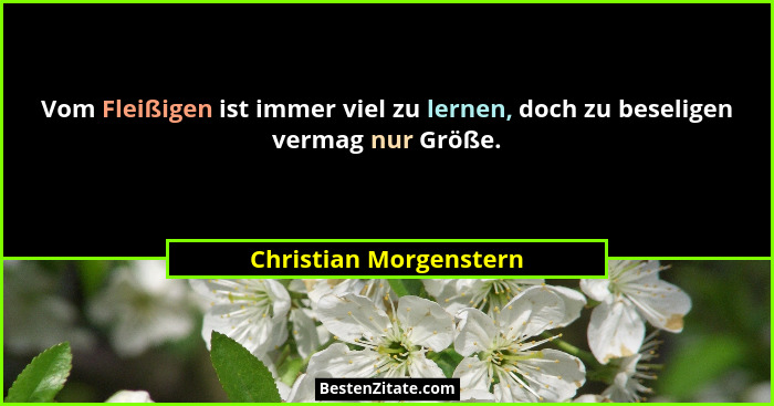 Vom Fleißigen ist immer viel zu lernen, doch zu beseligen vermag nur Größe.... - Christian Morgenstern