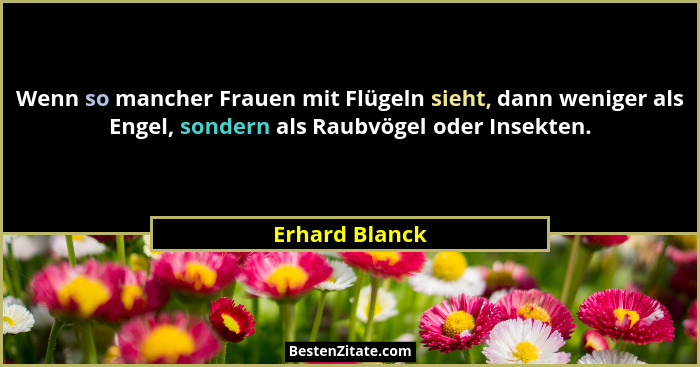 Wenn so mancher Frauen mit Flügeln sieht, dann weniger als Engel, sondern als Raubvögel oder Insekten.... - Erhard Blanck