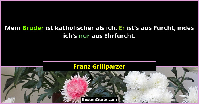 Mein Bruder ist katholischer als ich. Er ist's aus Furcht, indes ich's nur aus Ehrfurcht.... - Franz Grillparzer