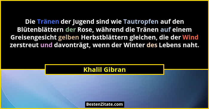 Die Tränen der Jugend sind wie Tautropfen auf den Blütenblättern der Rose, während die Tränen auf einem Greisengesicht gelben Herbstbl... - Khalil Gibran