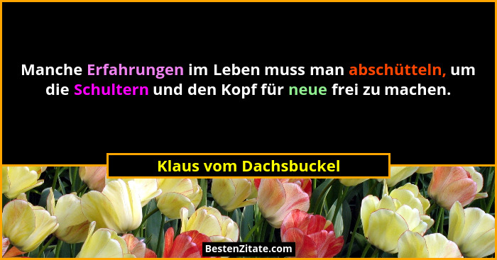 Manche Erfahrungen im Leben muss man abschütteln, um die Schultern und den Kopf für neue frei zu machen.... - Klaus vom Dachsbuckel