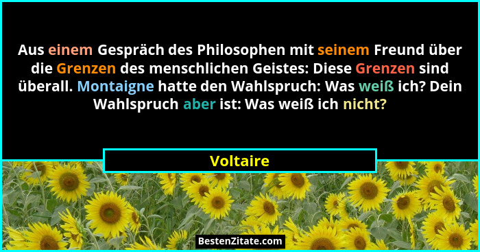 Aus einem Gespräch des Philosophen mit seinem Freund über die Grenzen des menschlichen Geistes: Diese Grenzen sind überall. Montaigne hatte... - Voltaire