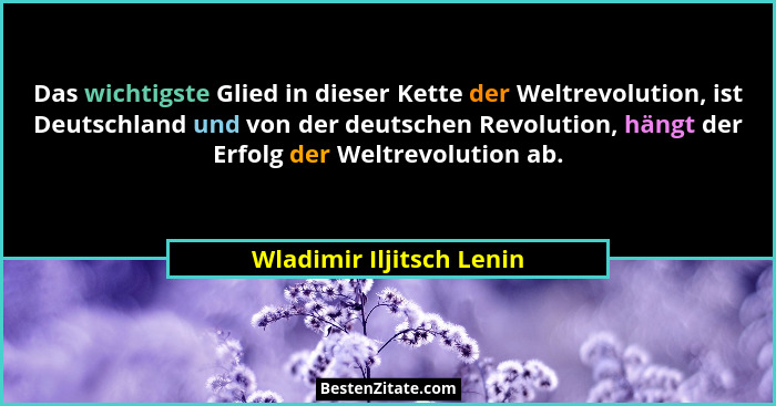 Das wichtigste Glied in dieser Kette der Weltrevolution, ist Deutschland und von der deutschen Revolution, hängt der Erfolg... - Wladimir Iljitsch Lenin