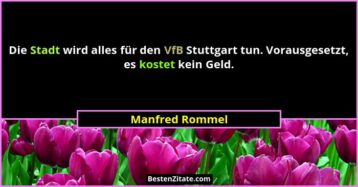 Die Stadt wird alles für den VfB Stuttgart tun. Vorausgesetzt, es kostet kein Geld.... - Manfred Rommel