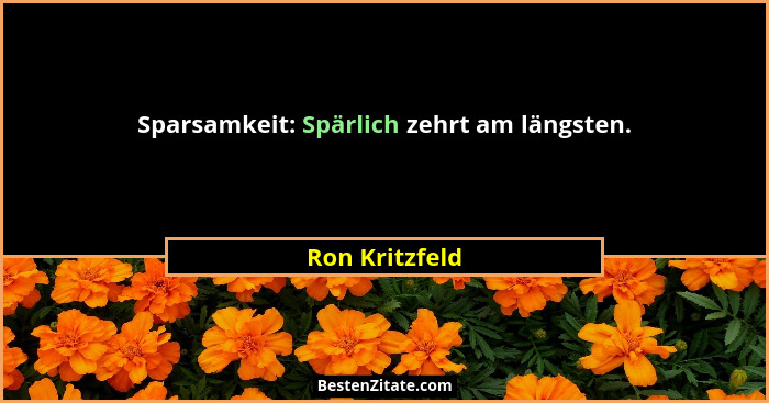 Sparsamkeit: Spärlich zehrt am längsten.... - Ron Kritzfeld