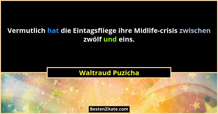 Vermutlich hat die Eintagsfliege ihre Midlife-crisis zwischen zwölf und eins.... - Waltraud Puzicha