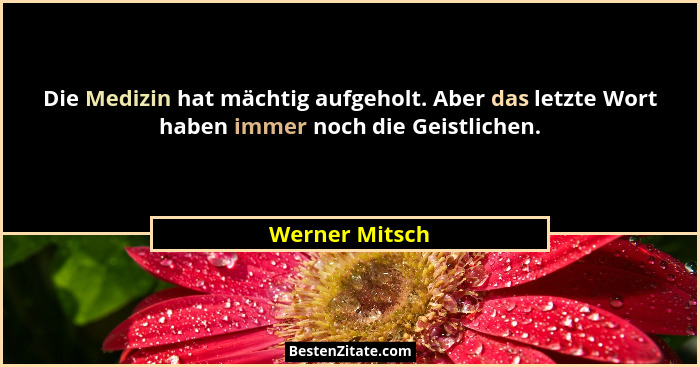 Die Medizin hat mächtig aufgeholt. Aber das letzte Wort haben immer noch die Geistlichen.... - Werner Mitsch