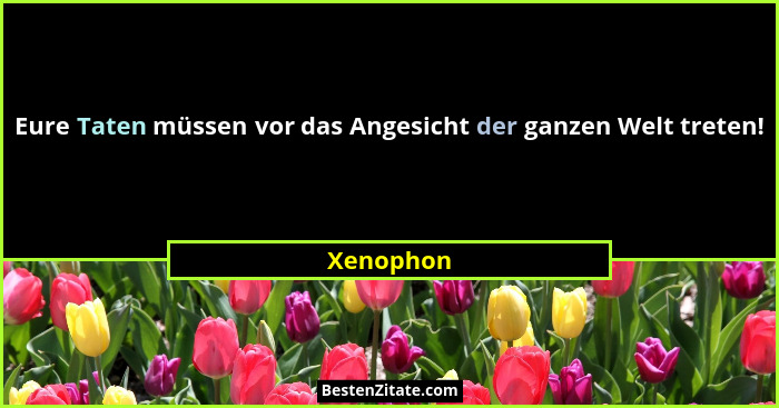 Eure Taten müssen vor das Angesicht der ganzen Welt treten!... - Xenophon