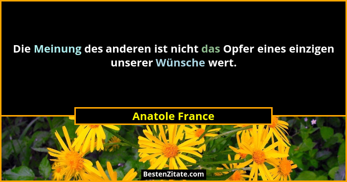 Die Meinung des anderen ist nicht das Opfer eines einzigen unserer Wünsche wert.... - Anatole France