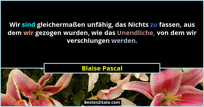 Wir sind gleichermaßen unfähig, das Nichts zu fassen, aus dem wir gezogen wurden, wie das Unendliche, von dem wir verschlungen werden.... - Blaise Pascal