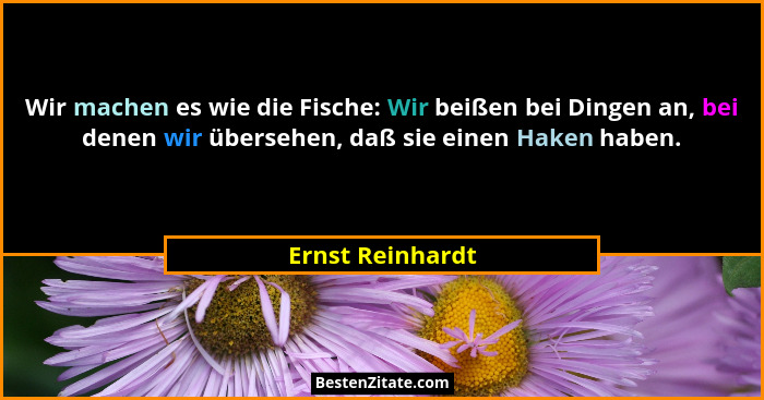 Wir machen es wie die Fische: Wir beißen bei Dingen an, bei denen wir übersehen, daß sie einen Haken haben.... - Ernst Reinhardt