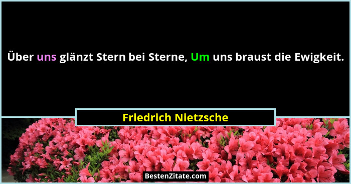 Über uns glänzt Stern bei Sterne, Um uns braust die Ewigkeit.... - Friedrich Nietzsche
