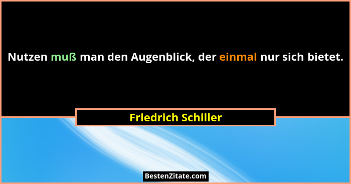 Nutzen muß man den Augenblick, der einmal nur sich bietet.... - Friedrich Schiller