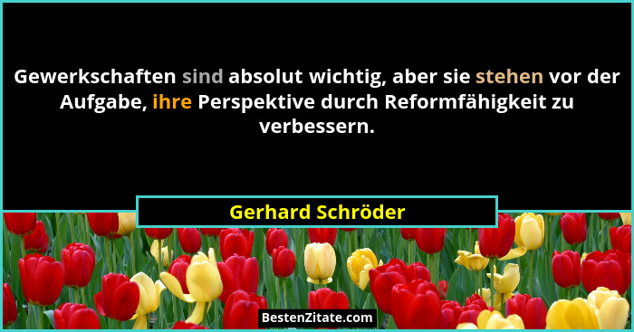 Gewerkschaften sind absolut wichtig, aber sie stehen vor der Aufgabe, ihre Perspektive durch Reformfähigkeit zu verbessern.... - Gerhard Schröder