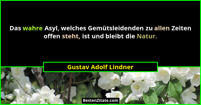 Das wahre Asyl, welches Gemütsleidenden zu allen Zeiten offen steht, ist und bleibt die Natur.... - Gustav Adolf Lindner
