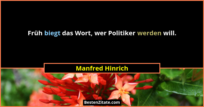 Früh biegt das Wort, wer Politiker werden will.... - Manfred Hinrich