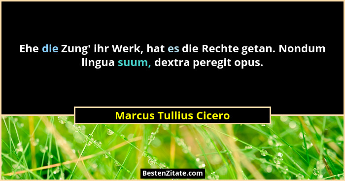 Ehe die Zung' ihr Werk, hat es die Rechte getan. Nondum lingua suum, dextra peregit opus.... - Marcus Tullius Cicero