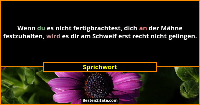 Wenn du es nicht fertigbrachtest, dich an der Mähne festzuhalten, wird es dir am Schweif erst recht nicht gelingen.... - Sprichwort