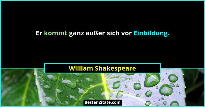 Er kommt ganz außer sich vor Einbildung.... - William Shakespeare