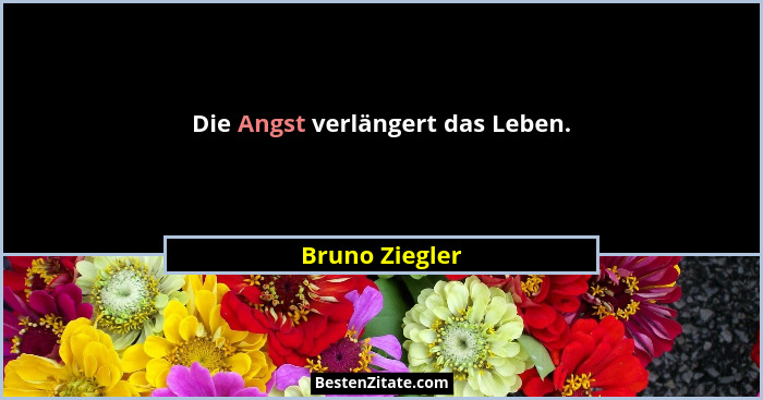 Die Angst verlängert das Leben.... - Bruno Ziegler