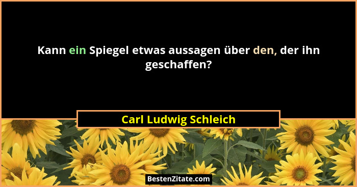 Kann ein Spiegel etwas aussagen über den, der ihn geschaffen?... - Carl Ludwig Schleich