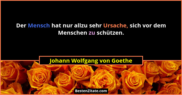 Der Mensch hat nur allzu sehr Ursache, sich vor dem Menschen zu schützen.... - Johann Wolfgang von Goethe