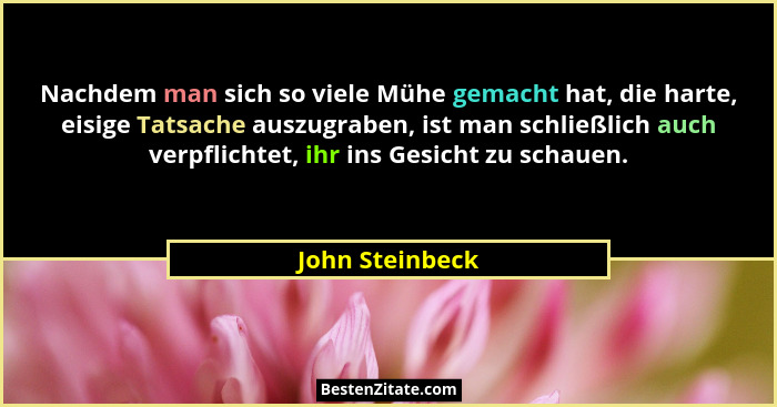 Nachdem man sich so viele Mühe gemacht hat, die harte, eisige Tatsache auszugraben, ist man schließlich auch verpflichtet, ihr ins Ge... - John Steinbeck