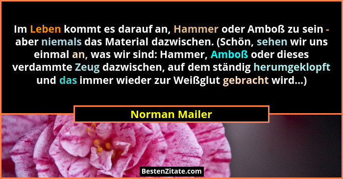 Im Leben kommt es darauf an, Hammer oder Amboß zu sein - aber niemals das Material dazwischen. (Schön, sehen wir uns einmal an, was wi... - Norman Mailer