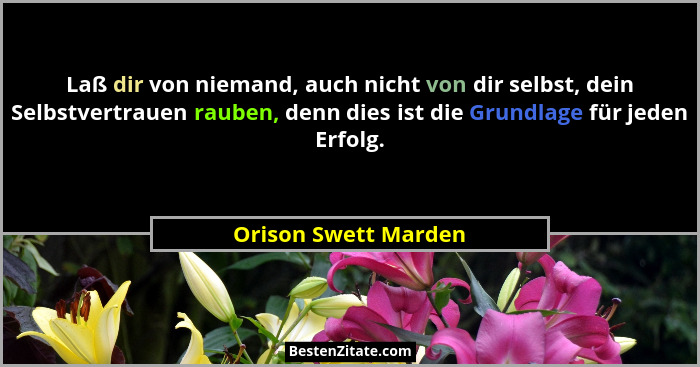 Laß dir von niemand, auch nicht von dir selbst, dein Selbstvertrauen rauben, denn dies ist die Grundlage für jeden Erfolg.... - Orison Swett Marden