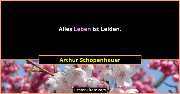 Alles Leben ist Leiden.... - Arthur Schopenhauer