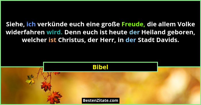 Siehe, ich verkünde euch eine große Freude, die allem Volke widerfahren wird. Denn euch ist heute der Heiland geboren, welcher ist Christus, d... - Bibel