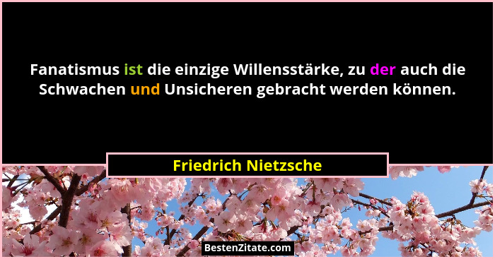 Fanatismus ist die einzige Willensstärke, zu der auch die Schwachen und Unsicheren gebracht werden können.... - Friedrich Nietzsche