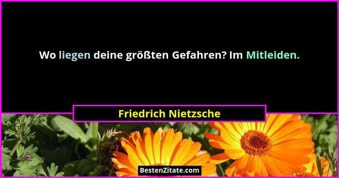 Wo liegen deine größten Gefahren? Im Mitleiden.... - Friedrich Nietzsche