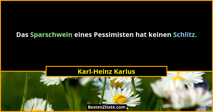 Das Sparschwein eines Pessimisten hat keinen Schlitz.... - Karl-Heinz Karius