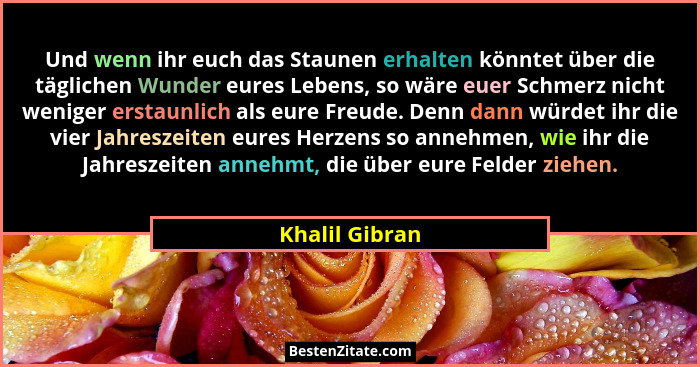 Und wenn ihr euch das Staunen erhalten könntet über die täglichen Wunder eures Lebens, so wäre euer Schmerz nicht weniger erstaunlich... - Khalil Gibran