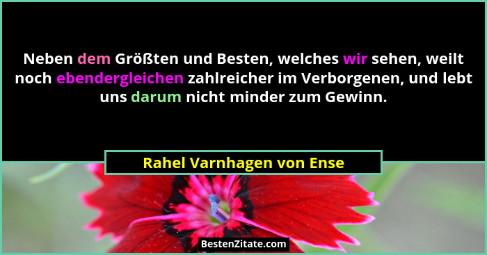 Neben dem Größten und Besten, welches wir sehen, weilt noch ebendergleichen zahlreicher im Verborgenen, und lebt uns darum... - Rahel Varnhagen von Ense