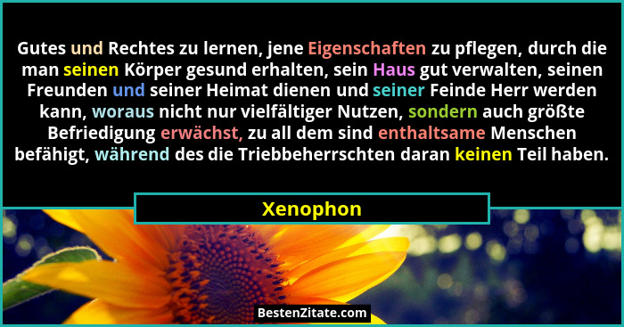Gutes und Rechtes zu lernen, jene Eigenschaften zu pflegen, durch die man seinen Körper gesund erhalten, sein Haus gut verwalten, seinen Fr... - Xenophon