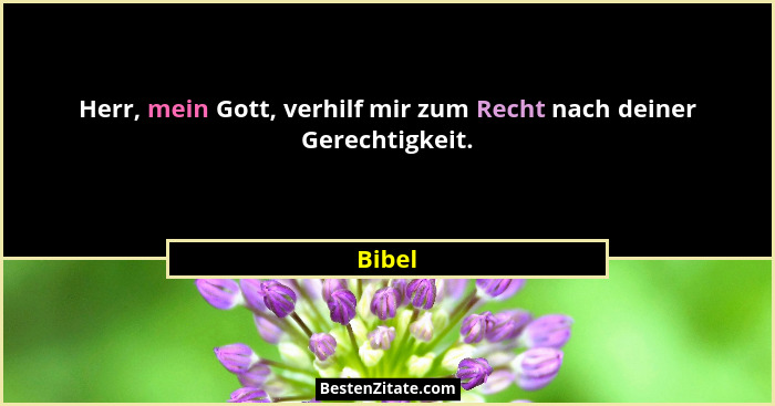 Herr, mein Gott, verhilf mir zum Recht nach deiner Gerechtigkeit.... - Bibel