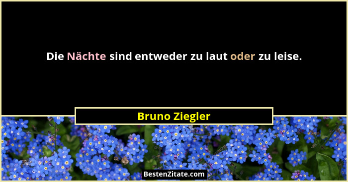 Die Nächte sind entweder zu laut oder zu leise.... - Bruno Ziegler