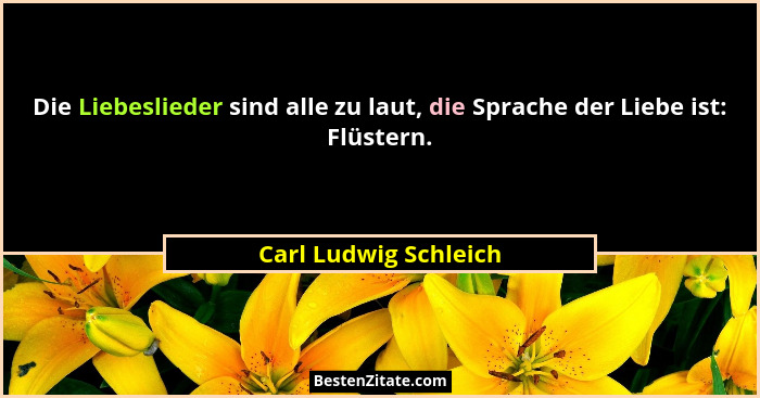 Die Liebeslieder sind alle zu laut, die Sprache der Liebe ist: Flüstern.... - Carl Ludwig Schleich