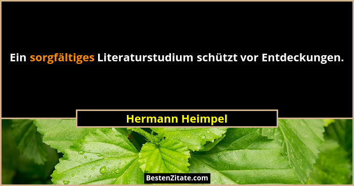 Ein sorgfältiges Literaturstudium schützt vor Entdeckungen.... - Hermann Heimpel