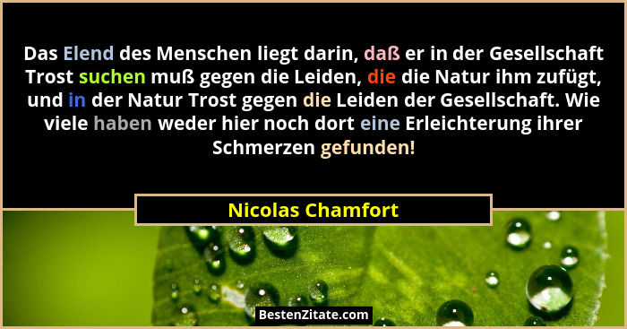Das Elend des Menschen liegt darin, daß er in der Gesellschaft Trost suchen muß gegen die Leiden, die die Natur ihm zufügt, und in... - Nicolas Chamfort