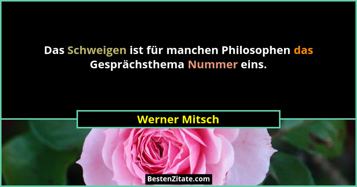 Das Schweigen ist für manchen Philosophen das Gesprächsthema Nummer eins.... - Werner Mitsch